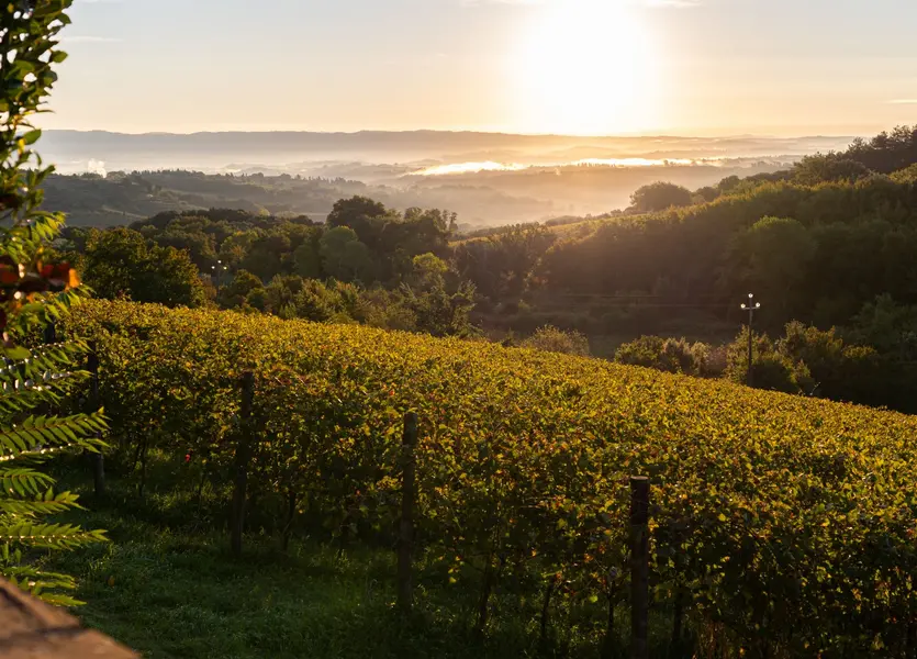 Offerta Novembre a San Gimignano